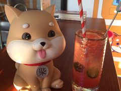 -柴犬高等学院·狗咖·柴犬售卖·宠物训练