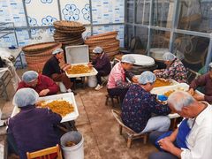 -苏州市吴中区光福窑上花果蜜饯厂