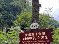 -西岭雪山大飞水景区