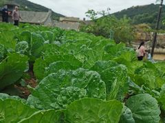-清风小镇闯关东影视基地