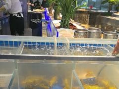 -海天牧场(银川商城店)