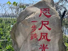 -河口景区