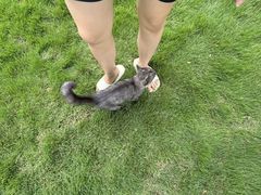 -Wagas沃歌斯(星荟中心店)