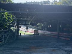 -海南槟榔谷黎苗文化旅游区