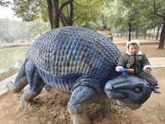 -中国西峡恐龙遗迹园