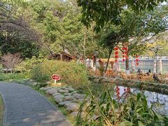 -成都市活水公园