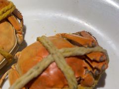 -杨氏青龙虾·羊肉季(金盛路总店)