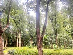 -东湖落雁景区