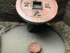 -蛇蟠岛