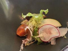 -蝶舍·MAISON PAPILLON