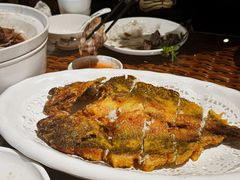-老广酒楼(樱花店)