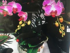 -怡花宜木鲜花店(朝阳路店)
