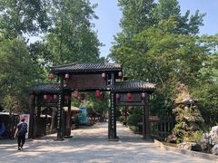 -合肥滨湖国家森林公园