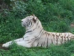 -昆明动物园
