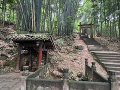 -凤栖山