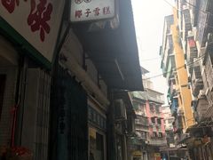 -洪馨椰子