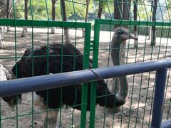 -长白岛森林公园