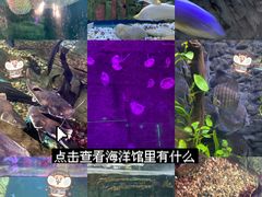 -无锡动物园·太湖欢乐园