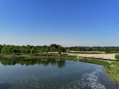 -东郊湿地公园
