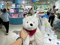 -合肥海洋世界