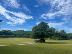 -济州森林小火车生态公园