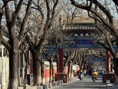 -北京国子监胡同