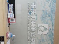 -宠颐生贝利健动物医院(谢家湾分院)