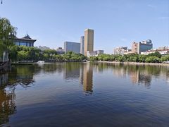 -文瀛公园