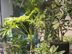 -弗劳尔花艺坊(龙涛店)