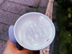 -洪馨椰子