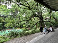 -香港大学
