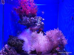 -多彩贵州城极地海洋世界