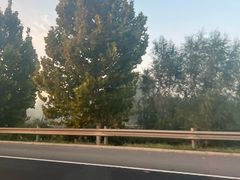 -北宅大永樱桃采摘基地(崂山总部)