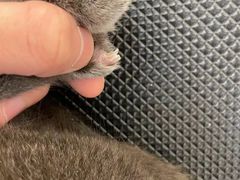 -comecome来吧宠物(奥克斯中心店)