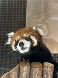 -Zoolung Zoolung动物主题公园(海信广场店)