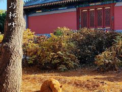 -大钟寺古钟博物馆