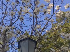 -广州市流溪河国家森林公园