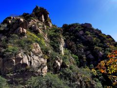 -大岭沟猕猴桃谷风景区