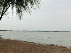 -漕湖湿地公园