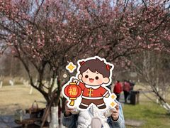 -常德桃花源景区