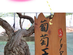 -宏泰园蔬果专业合作社