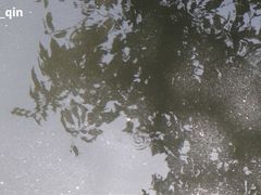 -杭州黄龙洞