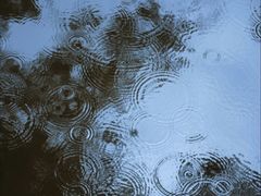 -绵阳人民公园(涪城区)