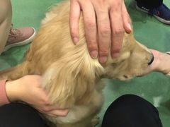 -藦茜花园宠物主题亲子互动体验馆(国顺东路店)