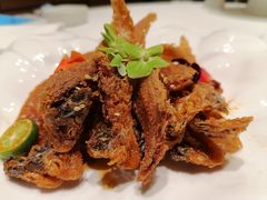 -绿杨春·淮扬宴(庐山路店)
