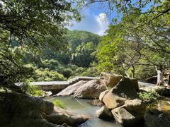 -东莞市大岭山森林公园