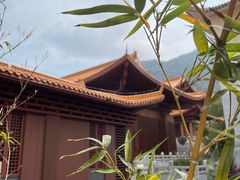 -深圳仙湖植物园