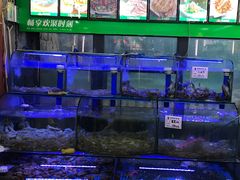 水产区-晶渔坊·海鲜私房菜(东夷小镇店)