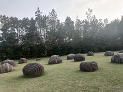 -上海月湖雕塑公园