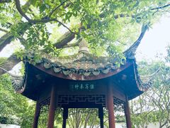 -上海醉白池公园